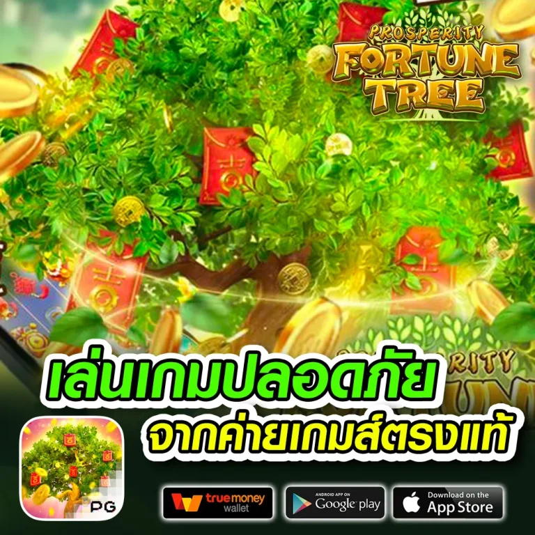 reddragon888 ทางเข้า